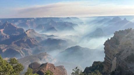 Brände: Grand-Canyon-Nationalpark wegen Feuers teilweise evakuiert