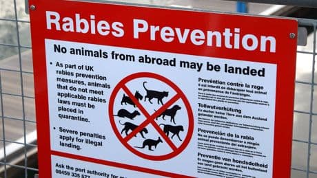 What is rabies and how is it spread?