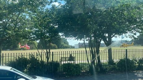 Five children injured after tree falls in public park
