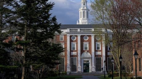 USA: Trump-Regierung verbietet Harvard die Aufnahme ausländischer Studenten