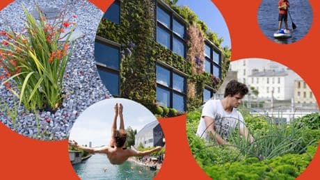 Rekordtemperaturen: Was Metropolen gegen die große Hitze tun