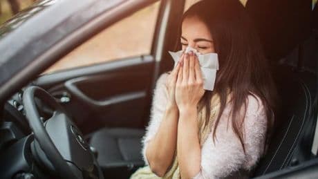 Las claves de la DGT para conducir si tienes alergia