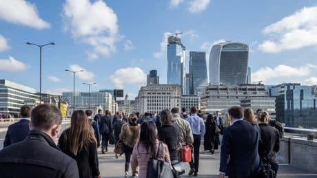 Job hunters rise to highest level for nearly five years – report