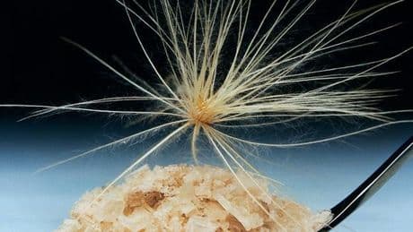 Le sel fumé de Maldon, délicat et croquant
