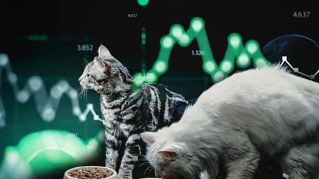 Künstliche Intelligenz: Schau mal, meine KI ...