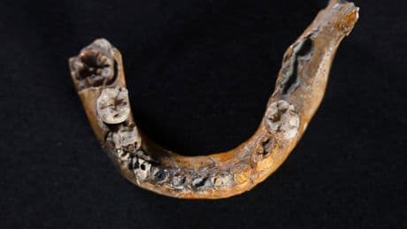 What the bones of an ancient child reveal about inbreeding between humans and Neanderthals