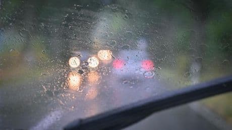 Wetter: Heftige Regenschauer in Südbrandenburg erwartet