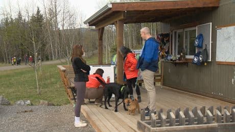 Albertans need to stay aware of wildlife while enjoying the outdoors, advocates say