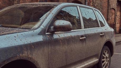 ¿Me pueden multar por llevar el coche sucio? Esto es lo que debes tener en cuenta