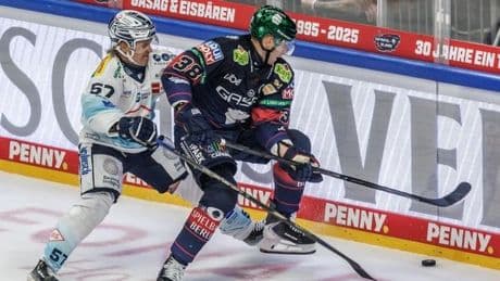 Eisbären: Der Meister zeigt dem Neuling, wo es langgeht