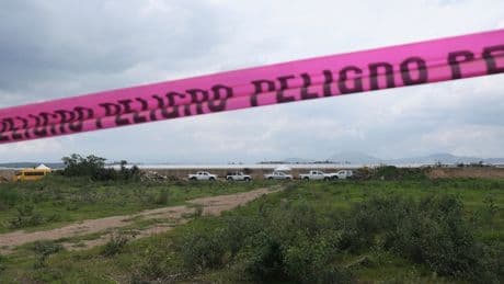 How pigs could help find missing Mexican drug cartel victims