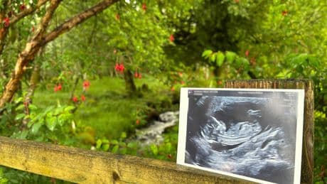 I've got big news to share - life will never be the same again on my Scottish island