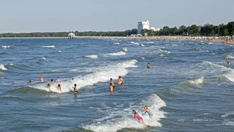Vibrionen in der Ostsee: 68-Jähriger stirbt nach Infektion mit Bakterien
