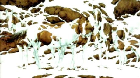 Suchbild: Augentest: Schaffen Sie es, alle Pferde im Schnee entdecken?