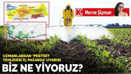 Uzmanlardan ‘pestisit tehlikesi iç pazarda’ uyarısı: Biz ne yiyoruz?