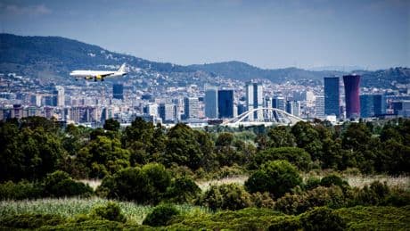 Las aerolíneas velan armas para no perder mercado