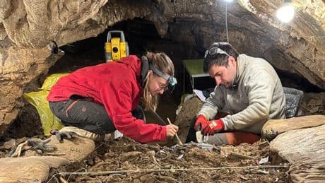 El pastor del Pirineo que murió hace 4.000 años después de que le dispararan una flecha por la espalda y le quedara clavada en una costilla