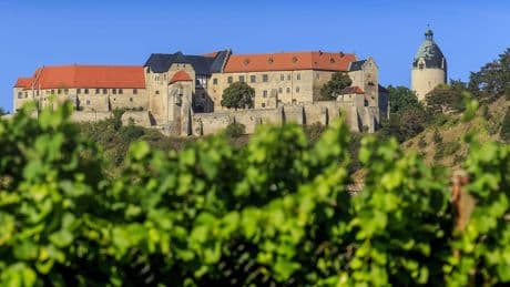 Ausflug ab Dresden: Mittelalterliches Flair in "Toskana der Unstrut"