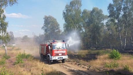Umwelt: Sehr hohe Waldbrandgefahr im Havelland