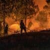 Feux de forêt : l’Aude en « danger très élevé », neuf départements du Sud placés en vigilance orange
