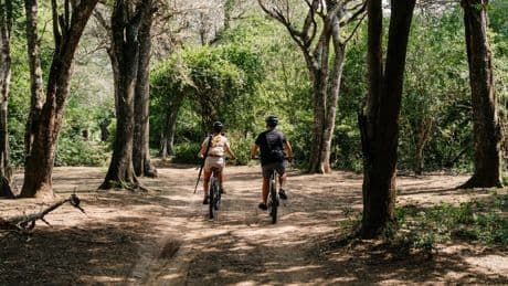 Nachhaltige Safari: Auf dem E-Bike zu den Löwen