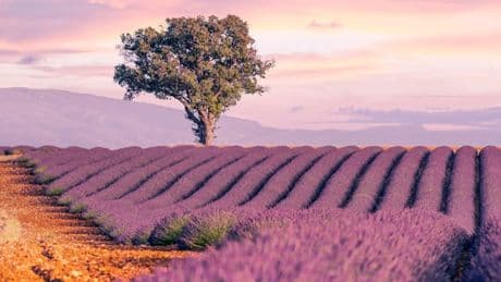 Welches ist das beste Reiseland Europas?