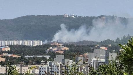 South Korean navy patrol plane crashes in country's south
