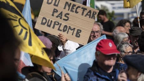 Loi Duplomb : « Au regard du droit, les néonicotinoïdes présentent des risques avérés pour la biodiversité »