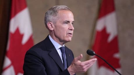 Liberals move to scrap consumer carbon price law in House of Commons
