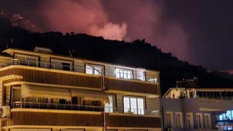 Marmara Adası’nda orman yangını! Ekiplerin alevlerle mücadelesi sürüyor