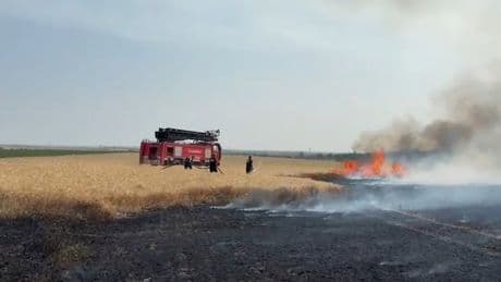 Kırklareli'nde buğday tarlalarında yangın: 500 dekar alan zarar gördü