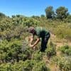 "Quand c'est comme ça, c'est que l'état de sécheresse est avancé" : face au risque de feux de forêts, le rituel de ces agents de l'ONF dans la garrigue