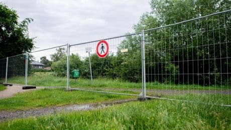 Entwarnung: Reptil-Video unmöglich von Gelände in Vechta