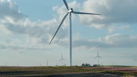 18 States Sue Over Trump’s Halting of Wind Power Projects