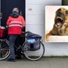 Jaarlijks 100 bpost-postbodes gebeten door honden: “Soms nemen ze hondenkoekjes mee”