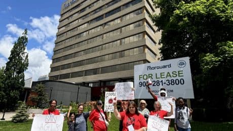 Cockroaches, mould, heat: Peel tenants decry rental conditions in survey