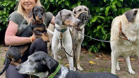 Aggressive, ängstliche und überforderte Hunde: Warum diese Schermbeckerin sich zur Traumatherapeutin für Hunde ausbilden lässt