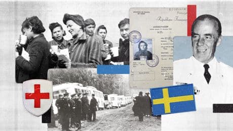 From Ravensbrück to freedom: The story of Sweden’s daring ‘White Bus’ rescue