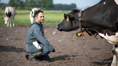 Tiermediziner fehlen: Wegen Fachkräftemangel: Tierärzte aus dem Ausland umworben