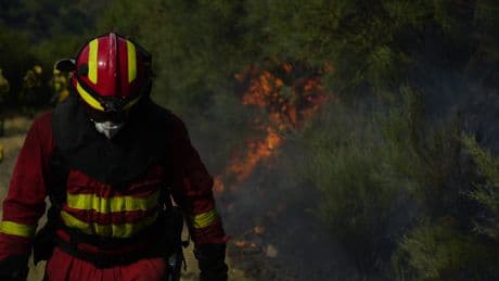Incendio político, incendio forestal