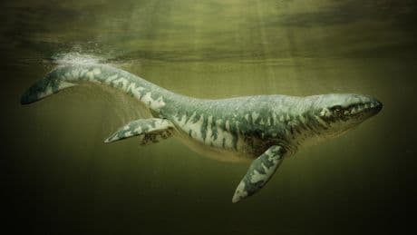 Giant ‘sea monster’ fossil unearthed in Mississippi mud