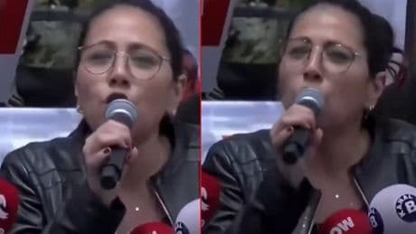 TİP'li Kadıgil köpeklerin sözcülüğünü üstlendi! AYM'ye aba altından sopa gösterdi
