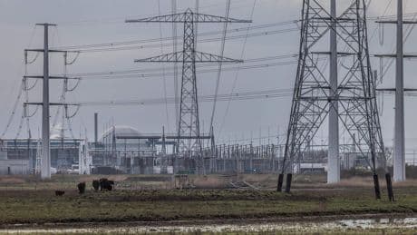 Nieuwe stroomverbinding TenneT verdubbelt Zeeuwse capaciteit tussen Borssele en Rilland: ’Bouwtijd energieprojecten halveren’