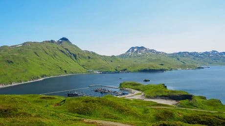 Schweres Erdbeben: Tsunami-Warnung in Alaska