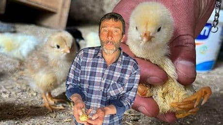 Çankırılı çiftçiye şok! Yumurtadan çıkan civcivi görünce neye uğradığını şaşırdı