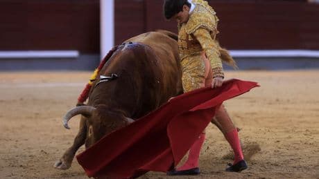 Aarón Palacio confirma en Las Ventas que Zaragoza tiene un torero (y muy bueno)