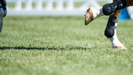 Pferdesport: Pferdequälerei? Weltverband ermittelt gegen Australier Ryan