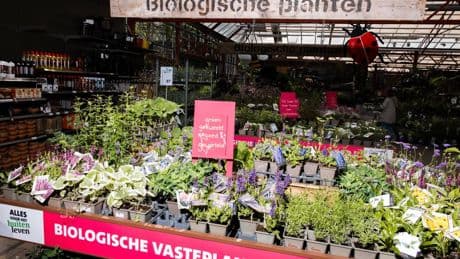 Ook het tuincentrum vindt dat de tuin groener moet