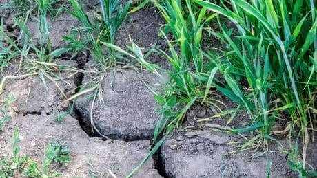 Sinkender Grundwasserspiegel in Deutschland: „Wasser ist keine Selbstverständlichkeit mehr“
