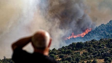 Los incendios de Ávila, Toledo y Alicante continúan activos y movilizan cientos de efectivos: el de Navaluenga, aún en nivel 2
